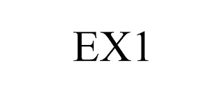 EX1