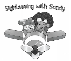 SIGHTSEEING WITH SANDY