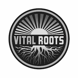 VITAL ROOTS