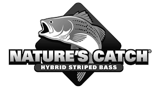 NATURE'S CATCH HYBRID STRIPED BASS