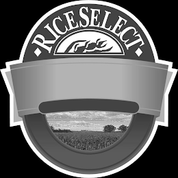 RICESELECT