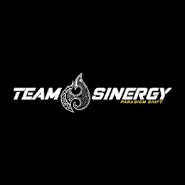 TEAM SINERGY PARADIGM SHIFT