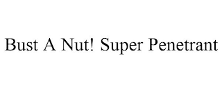 BUST A NUT! SUPER PENETRANT