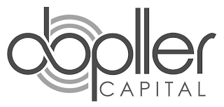 DOPLLER CAPITAL