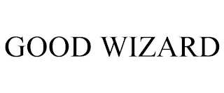 GOOD WIZARD