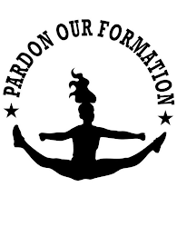 PARDON OUR FORMATION