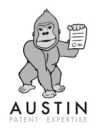 AUSTIN PATENT EXPERTISE