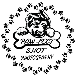 PAWFECT SHOT PHOTOGRAPHY