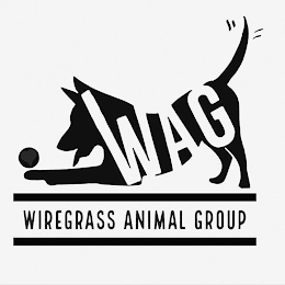 WAG WIREGRASS ANIMAL GROUP