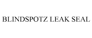 BLINDSPOTZ LEAK SEAL