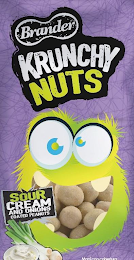 BRANDER KRUNCHY NUTS SOUR CREAM AND ONIONS COATED PEANUTS MANÍCAN COBETURA