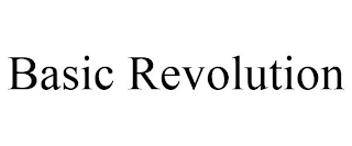 BASIC REVOLUTION