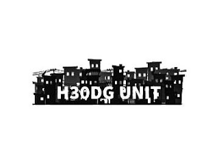 H30DG UNIT