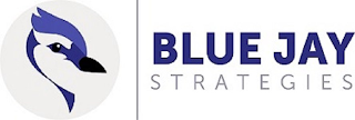 BLUE JAY STRATEGIES