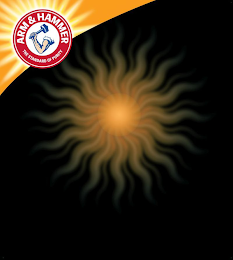 ARM & HAMMER THE STANDARD OF PURITY