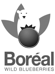 BORÉAL WILD BLUEBERRIES