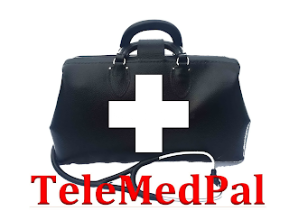 TELEMEDPAL