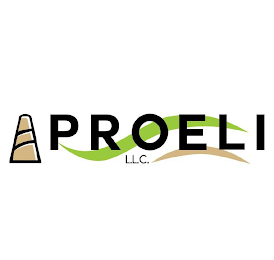 PROELI L.L.C.