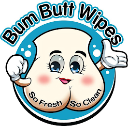 BUM BUTT WIPES SO FRESH SO CLEAN