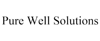 PURE WELL SOLUTIONS