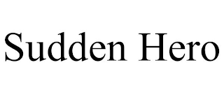 SUDDEN HERO