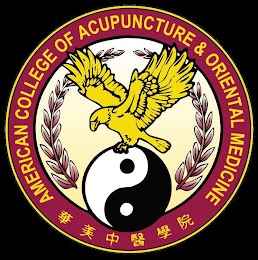 AMERICAN COLLEGE OF ACUPUNCTURE & ORIENTAL MEDICINE