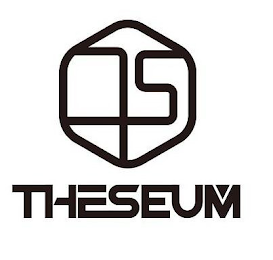 TS THESEUM