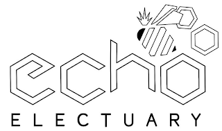 ECHO ELECTUARY