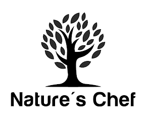 NATURE'S CHEF