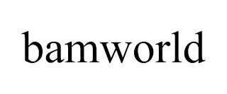 BAMWORLD