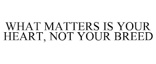 WHAT MATTERS IS YOUR HEART, NOT YOUR BREED