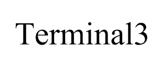 TERMINAL3