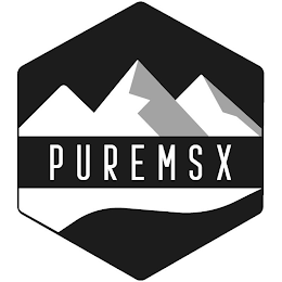 PUREMSX