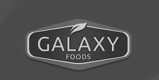 GALAXY FOODS