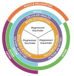 HEART MUSCLE RELAXATION BRAIN BRAIN MOOD MOOD CELLULAR HEALTH CELLULAR HEALTH CELLULAR HEALTH MUSCLE FUNCTION MUSCLE FUNCTION MUSCLE FUNCTION MAGNESIUM GLYCINATE MAGNESIUM TAURINATE MAGNESIUM ASPARTATE