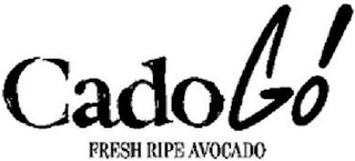 CADOGO FRESH RIPE AVOCADO