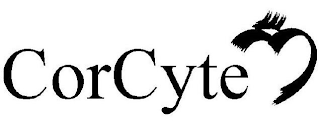 CORCYTE