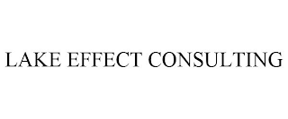 LAKE EFFECT CONSULTING