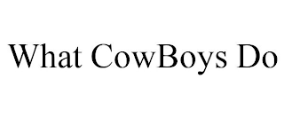 WHAT COWBOYS DO