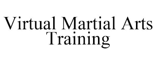 VIRTUAL MARTIAL ARTS TRAINING