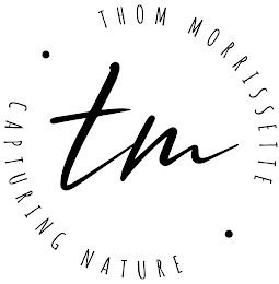 THOM MORRISSETTE CAPTURING NATURE TM