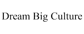 DREAM BIG CULTURE
