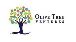 OLIVE TREE VENTURES