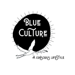 BLUE CULTURE A CONSCIOUS LIFESTYLE