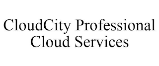 CLOUDCITY PROFESSIONAL CLOUD SERVICES