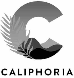 C CALIPHORIA