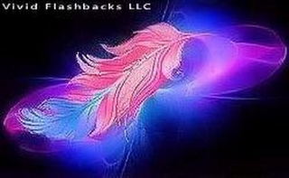 VIVID FLASHBACKS LLC