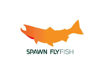 SPAWN FLY FISH