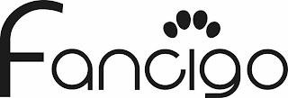 FANCIGO