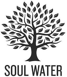 SOUL WATER